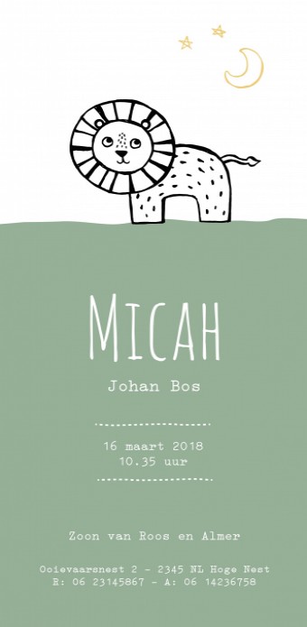 Geboortekaartje leeuw - Micah