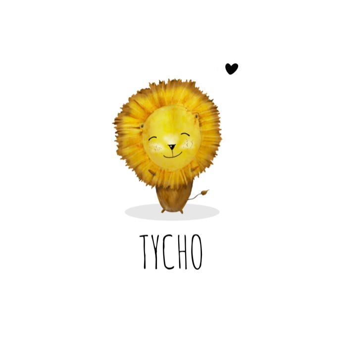 Geboortekaartje schattig leeuwtje vierkant - Tycho