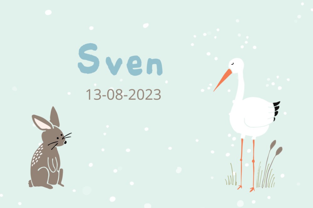 Geboortekaartje Ooievaar - Sven