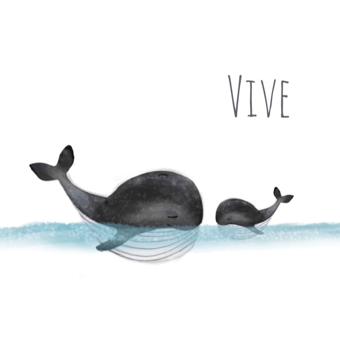 Geboortekaartje walvissen vierkant - Vive