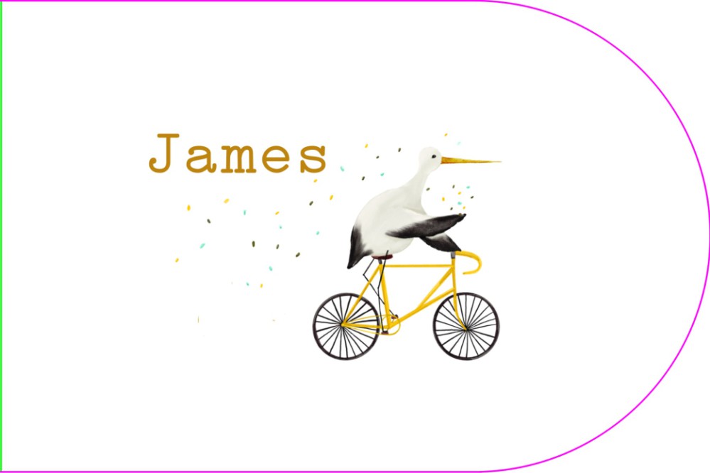 Geboortekaartje ooievaar op fiets boogvorm - James