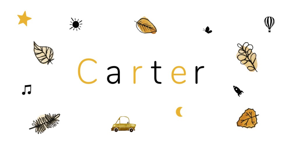 Geboortekaartje naam bladeren - Carter