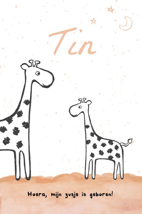 Geboortekaartje giraffen zusje - Tin