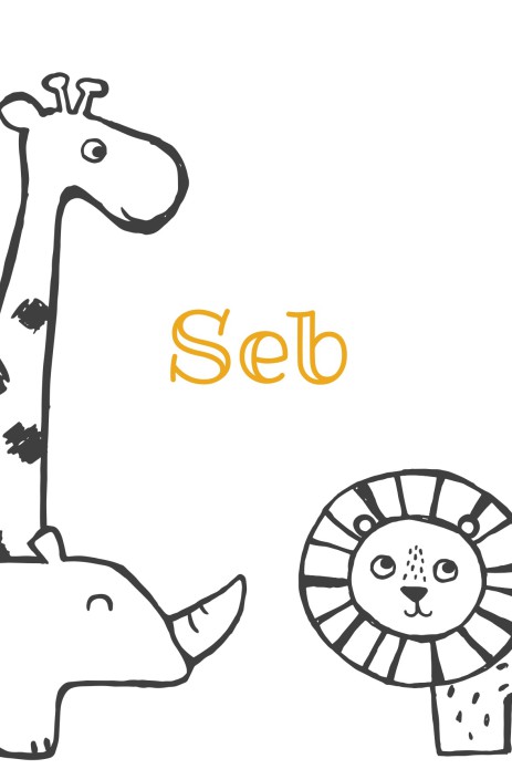 Geboortekaartje safari dieren - Seb