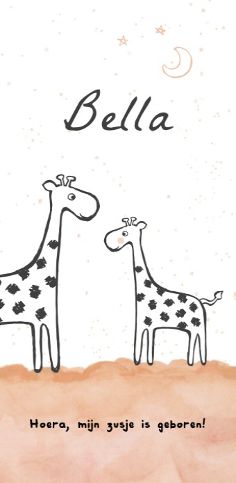 Geboortekaartje giraffen zusje - Bella
