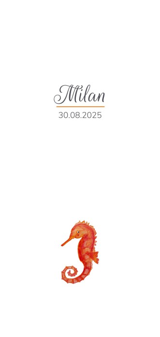 Geboortekaartje jongen minimalistisch - Milan