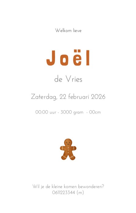 Geboortekaartje kerst koekje