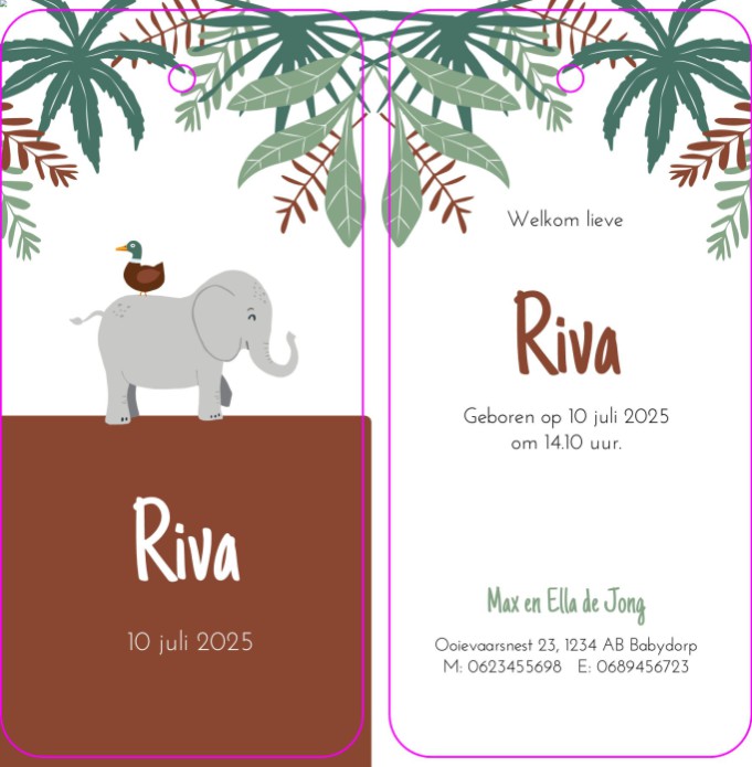 Geboortelabel jungle avontuur - Riva