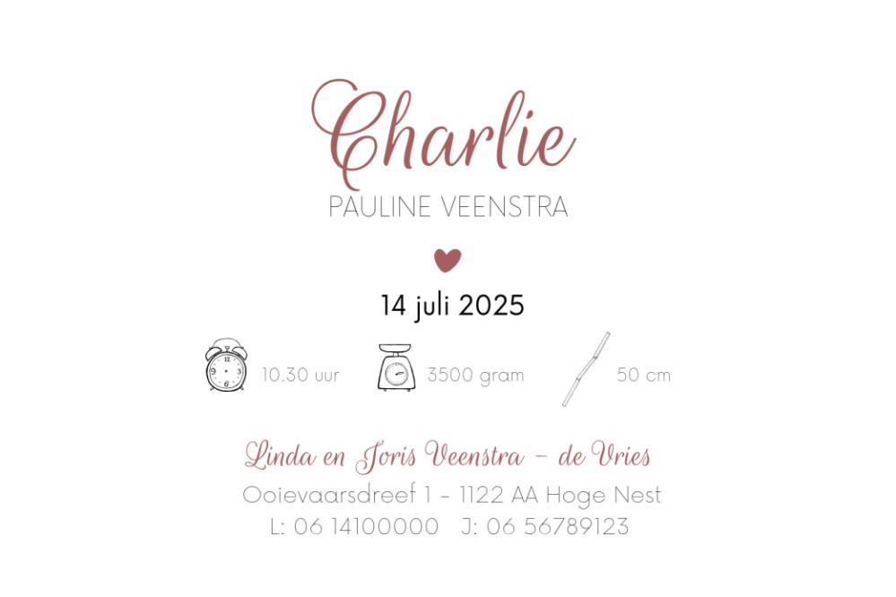 Geboortekaartje ooievaar met roze karretje - Charlie