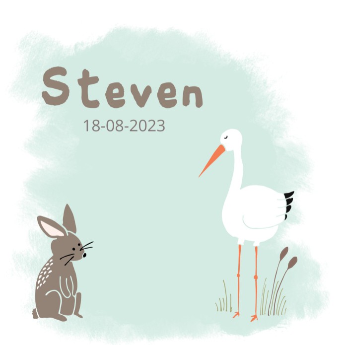 Geboortekaartje Ooievaar Steven
