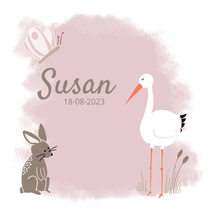 Geboortekaartje Ooievaar Susan