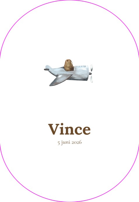 Geboortekaartje vliegtuig ovaal - Vince