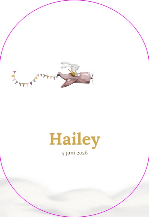 Geboortekaartje vliegtuig meisje ovaal - Hailey