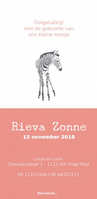 Geboortekaartje zebra achter