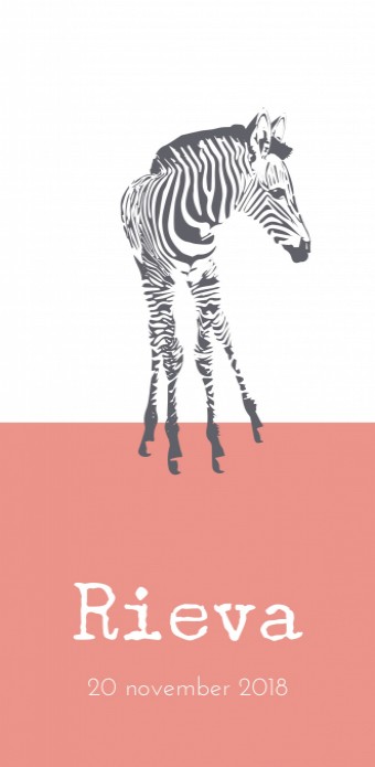 Geboortekaartje zebra voor