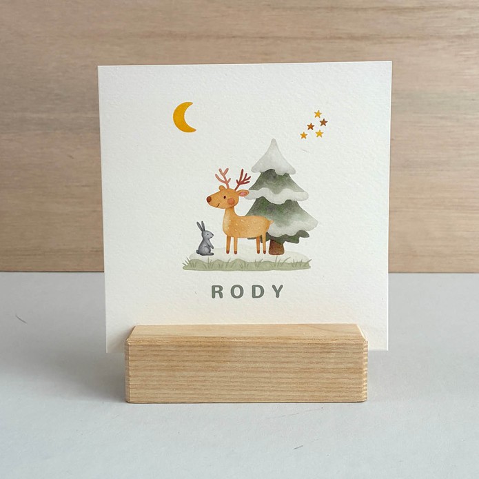 Geboortekaartje winter