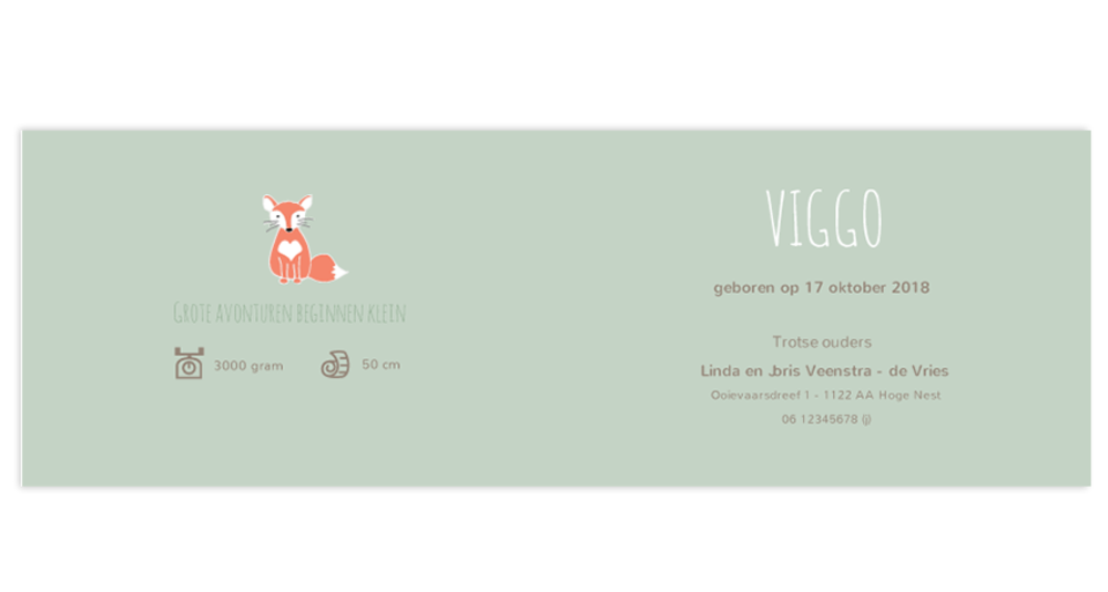 Geboortekaartje Vos Viggo - liggend achter