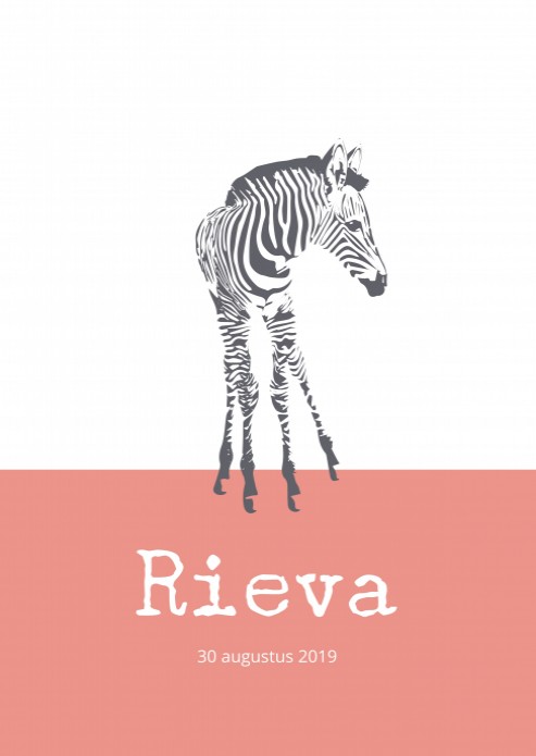 Poster Zebra voor