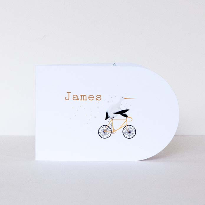 Geboortekaartje ooievaar op fiets boogvorm - James