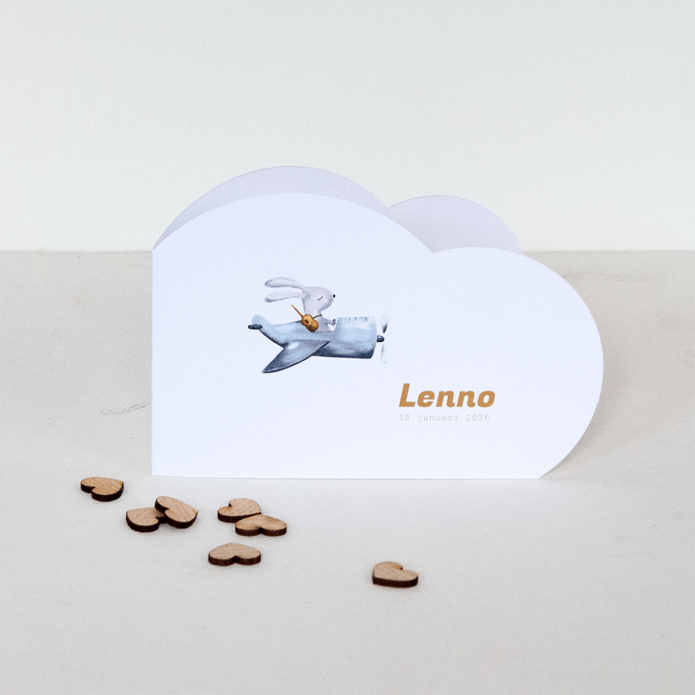 Geboortekaartje vliegtuig jongen wolkvorm - Lenno
