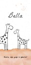 Geboortekaartje giraffen zusje • 10 x 21 cm voor