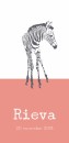 Geboortekaartje zebra