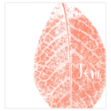 Geboortekaartje natuur blad rood • gevouwen • 10 x 21 cm binnen