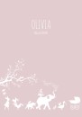 Poster geboortestoet olivia