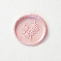 Waxzegel roze - takje voor